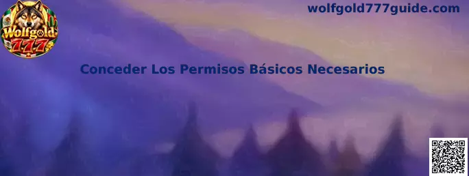 Guía para revisar y conceder los permisos básicos necesarios de Wolfgold 777 en un dispositivo móvil