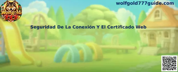 Seguridad de la conexión y el certificado web en Wolfgold 777