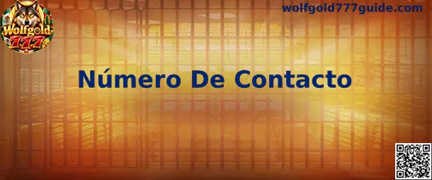Guía de Wolfgold 777 para registrar y verificar un número de contacto en México